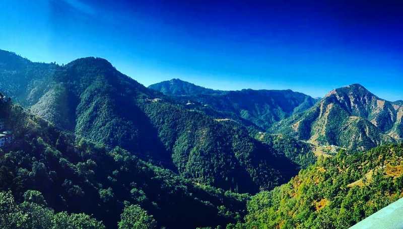 UPSC IFS : Notes For Forestry Optional