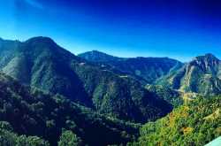 UPSC IFS : Notes for Forestry Optional