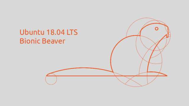 Ubuntu 18.04 LTS (Bionic Beaver) - A Powerful Platform For A Multitude Of Applications