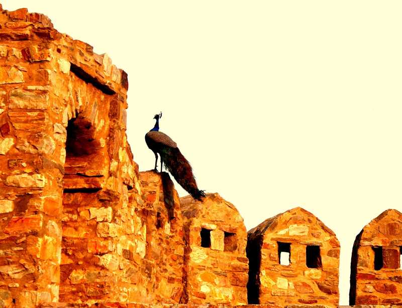 Udaipur ........... The Oasis Of Rajasthan