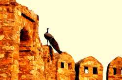 Udaipur ........... the Oasis of Rajasthan