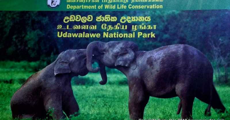 Udawalawe National Park | Sri Lanka