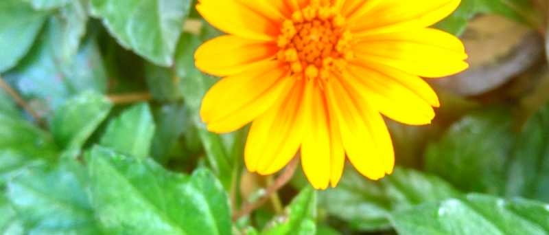 Unafraid: T-Minus 14,000