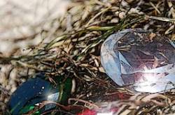 Uncovered @ Clarityofnight