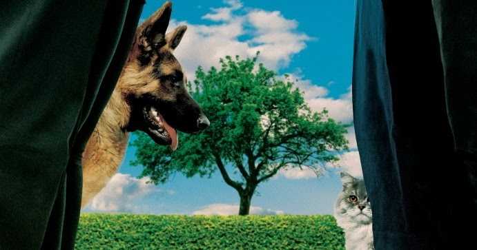 Under The Tree [2017] -- The Misdeeds Of Resentful Suburbanites