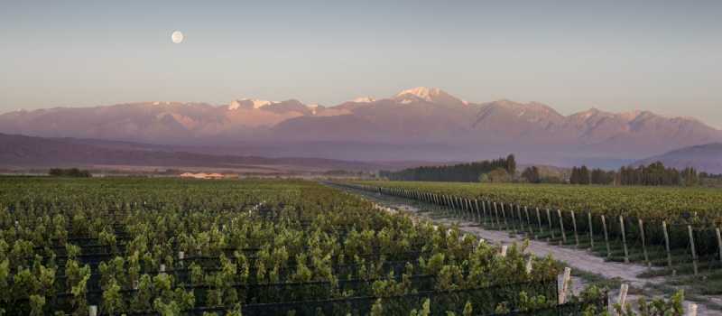 Under The Southern Stars:  Argentina’s Chakana Story