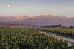 Under the southern stars:  Argentina’s Chakana story