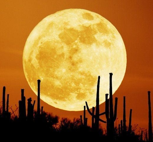 Understand Self And Others