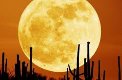 Understand self and others