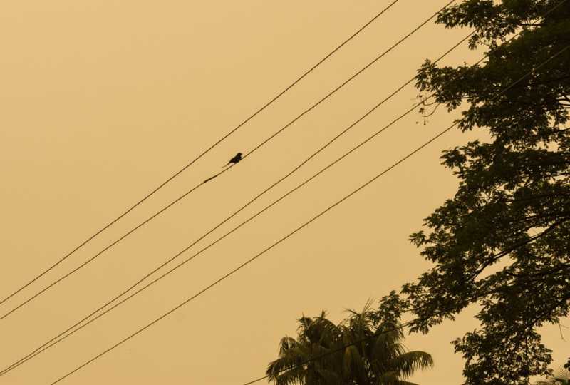 United We Stand, Divided We Fall