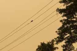 United We Stand, Divided We fall