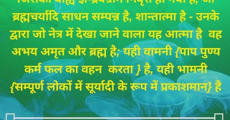 Unity Of Mind And Body