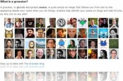 Universal Avatar Concept