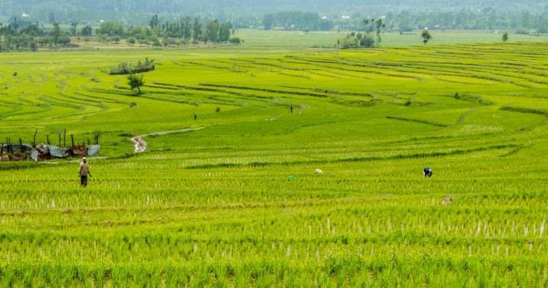 Unseen Kashmir - Bangus And Lolab Valley - Exploration Continues 