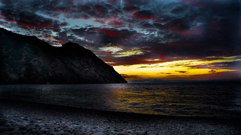 Untamed In The Untamed