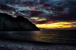 Untamed in the Untamed