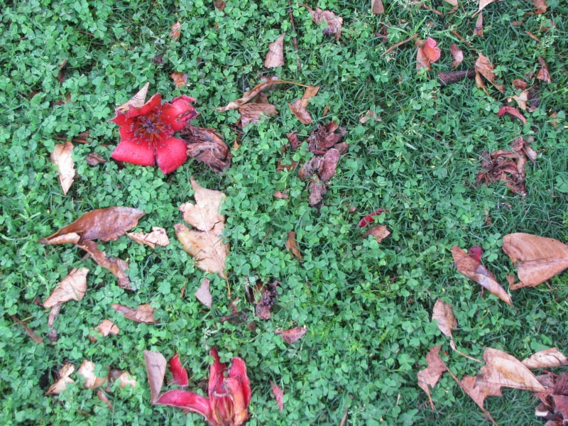 Until I Chose To Live