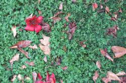 until i chose to live