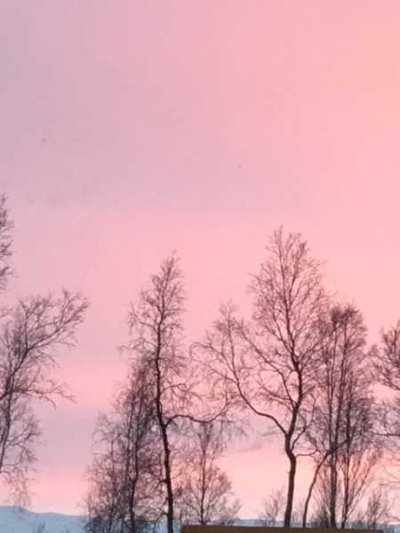 Unusually Beautiful Evening Sky