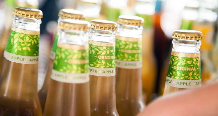 Use Apple Cider Vinegar To Safely Repel Fleas On Pets & Inside The Home