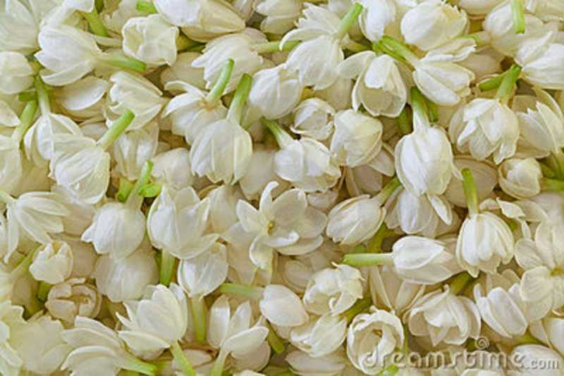 Use Flower Instead Of Gas Freshners