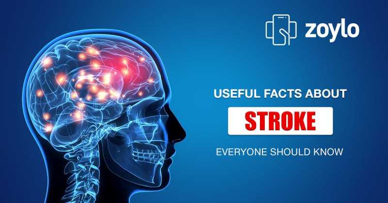 Useful Facts About Stroke Everyone Should Know