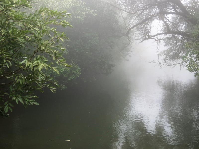 Useless Bits Of Information !!