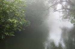 Useless bits of information !!