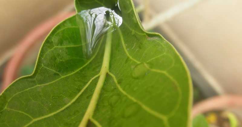 Utopia Within         #ATOZCHALLENGE #1000SPEAK