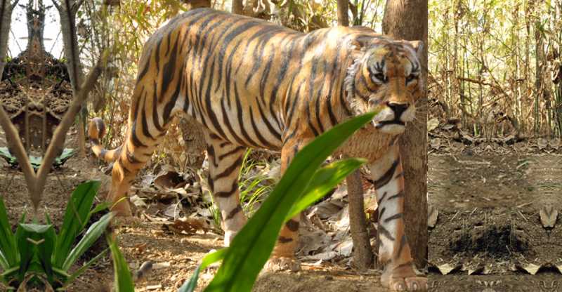 Utsav Rock Garden - Part 7 : An Excellent Knowledge Centre