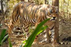 Utsav Rock Garden - Part 7 : An Excellent Knowledge Centre