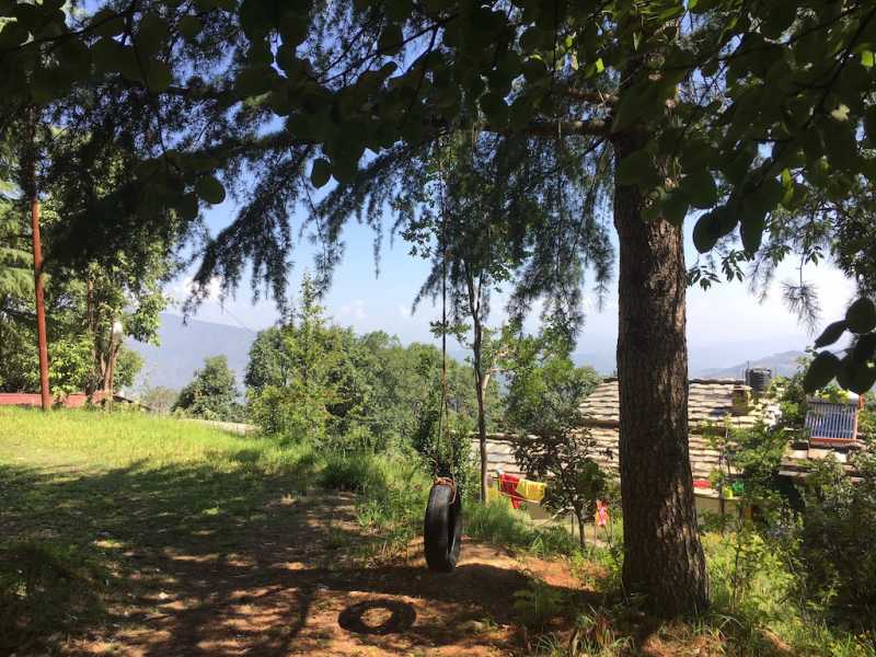 Uttarakhand Solo Journal 1: A Night In Jungle