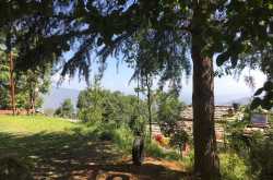 Uttarakhand Solo Journal 1: A Night in Jungle