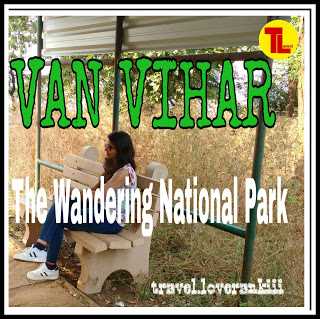 VAN-VIHAR -- The Wondering National Park In Madhya Pradesh