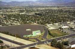 VICTORY DRIVE IN - Vintage Los Angeles