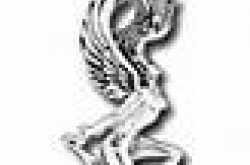 VIRBRA CUSPS TRAITS...