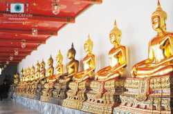 Vacation in Thailand- The Land of Smiles!