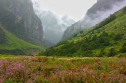 Valley of Flowers - A spectacle of lifetime.