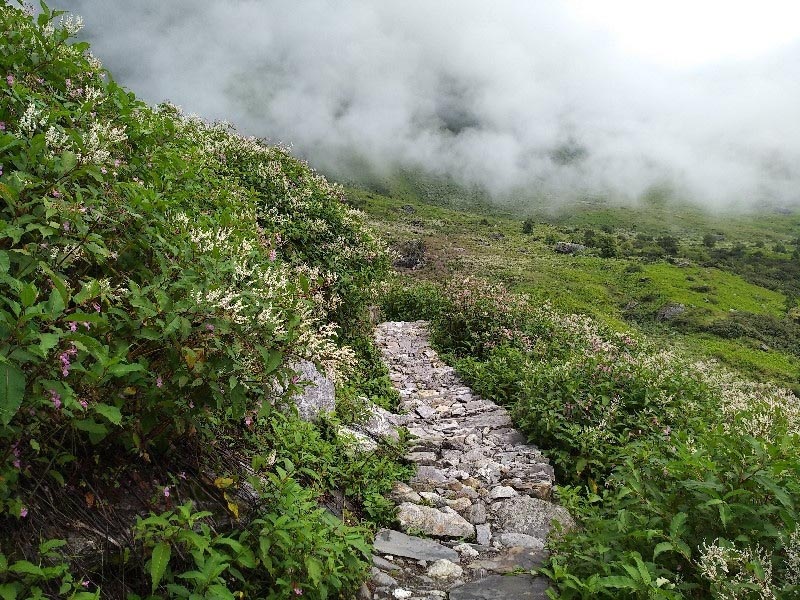 Valley Of Flowers Trek Uttrakhand - POPNERD