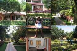 Vandy travels to Yelagiri