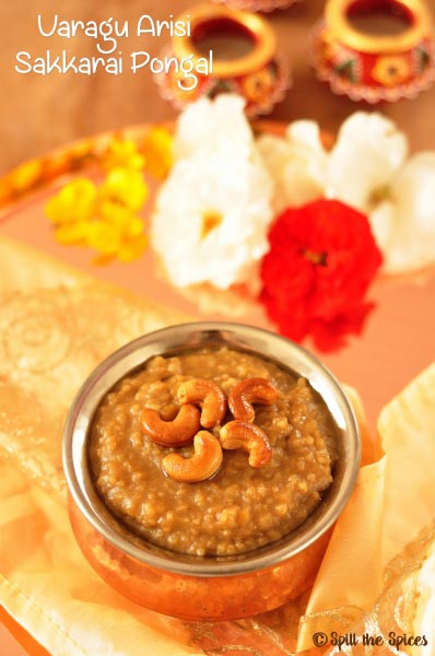 Varagu Arisi Sakkarai Pongal | Kodo Millet Sweet Pongal