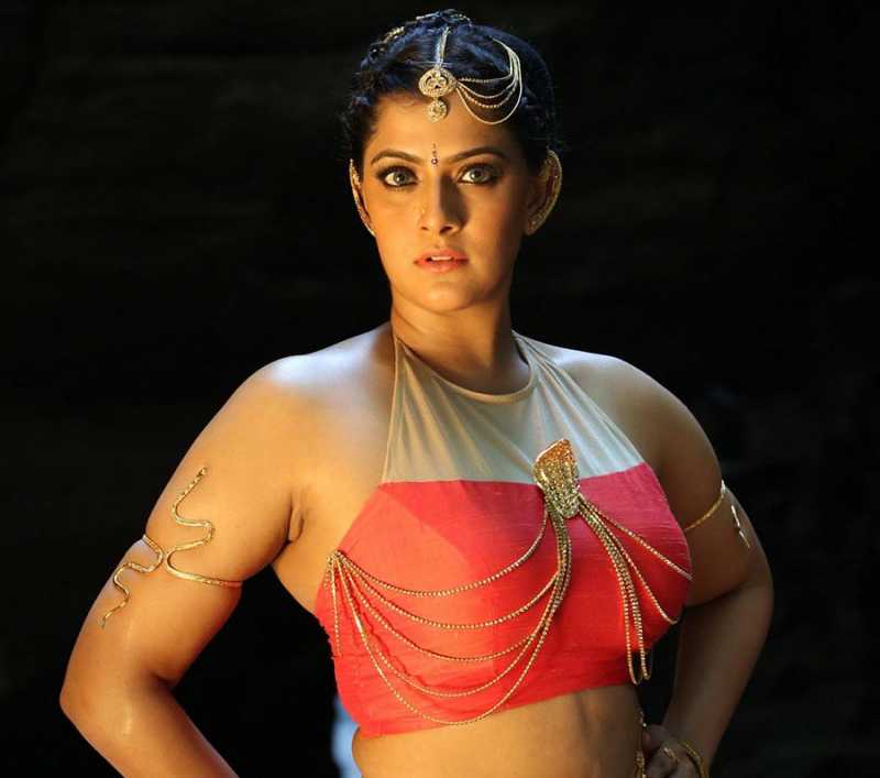 Varalaxmi Sarathkumar ( Varalakshmi ) Actress Photos, Stills, Images