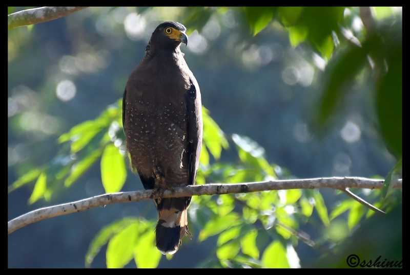 Varayattu Motta - The Inviting Summit