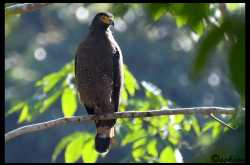 Varayattu Motta - The Inviting Summit