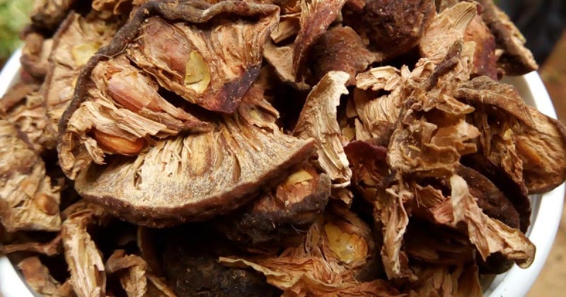 Vatamba...Vatamba!!!