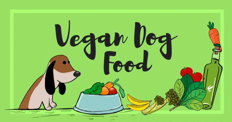 Vegan Dog Food : Everything You Want To Know !