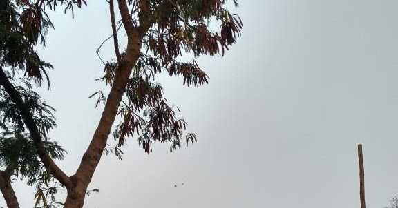 Velachery Dhandeeshwarar Worshipped By Yama Dharma Raja 