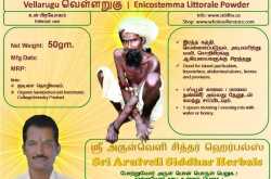 Vellarugu வெள்ளறுகு பொடி | Enicostemma Littorale Powder
