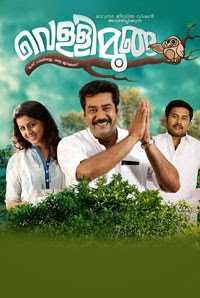 Vellimoonga (Silver Owl)