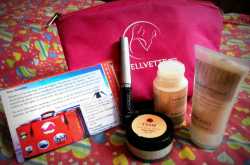 Vellvette Bag (June)